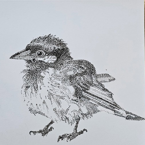 Stipple drawing — small bird