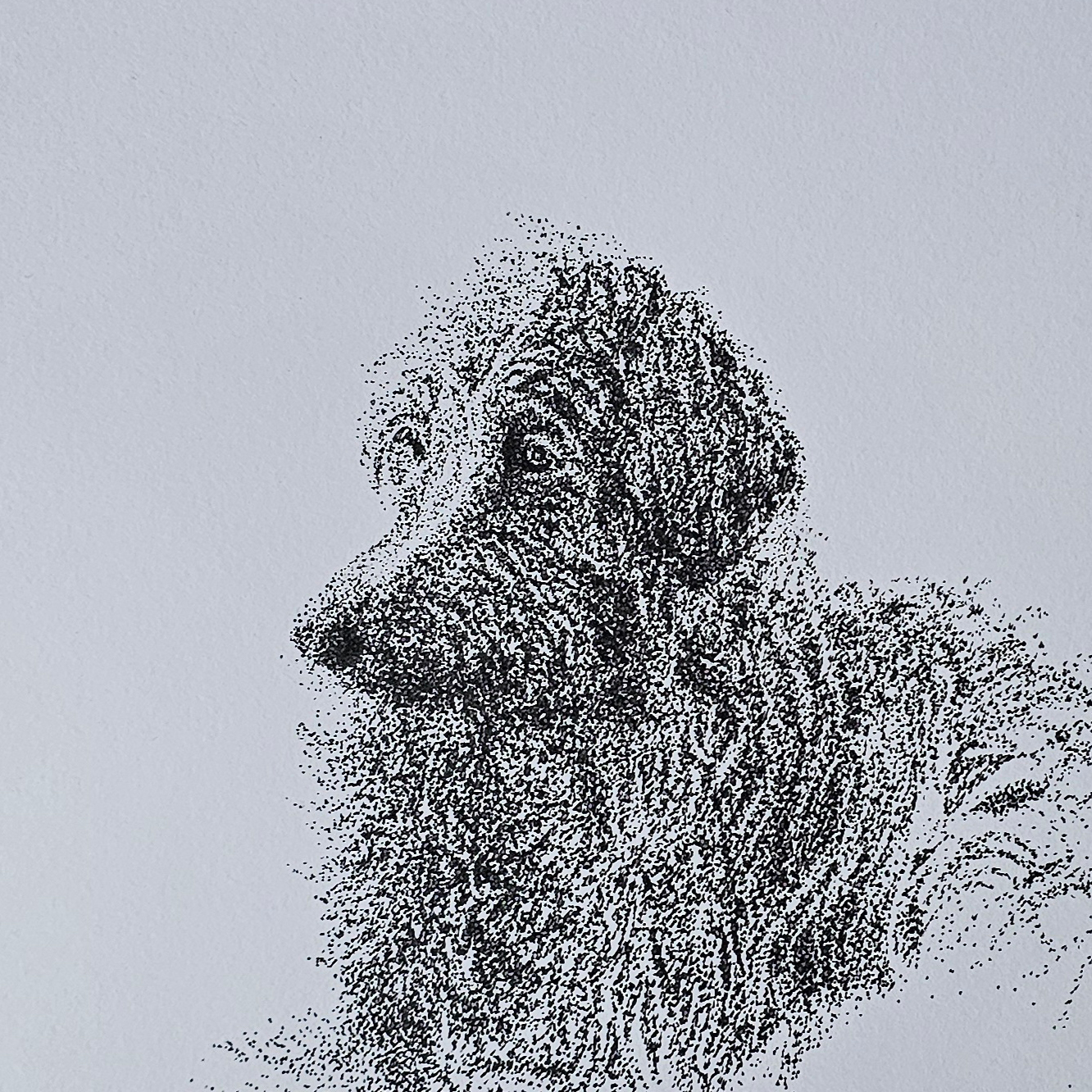 Featured artwork