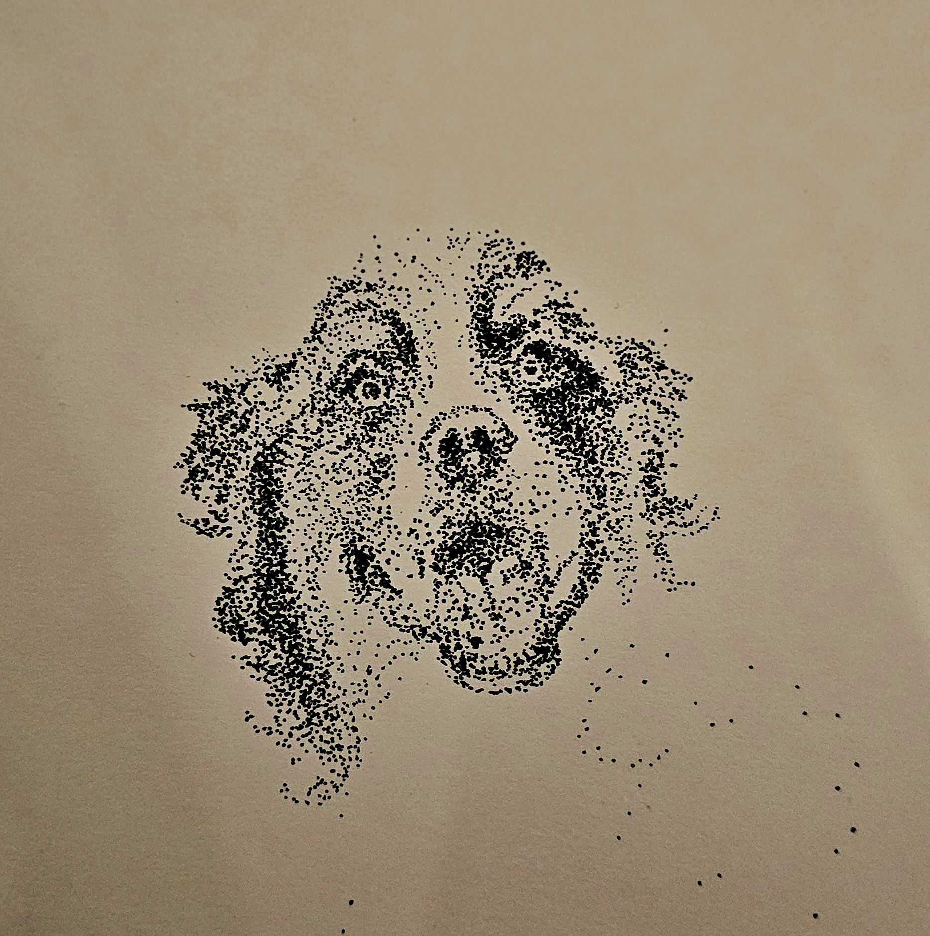 Stipple portrait — Bernese mountain dog face