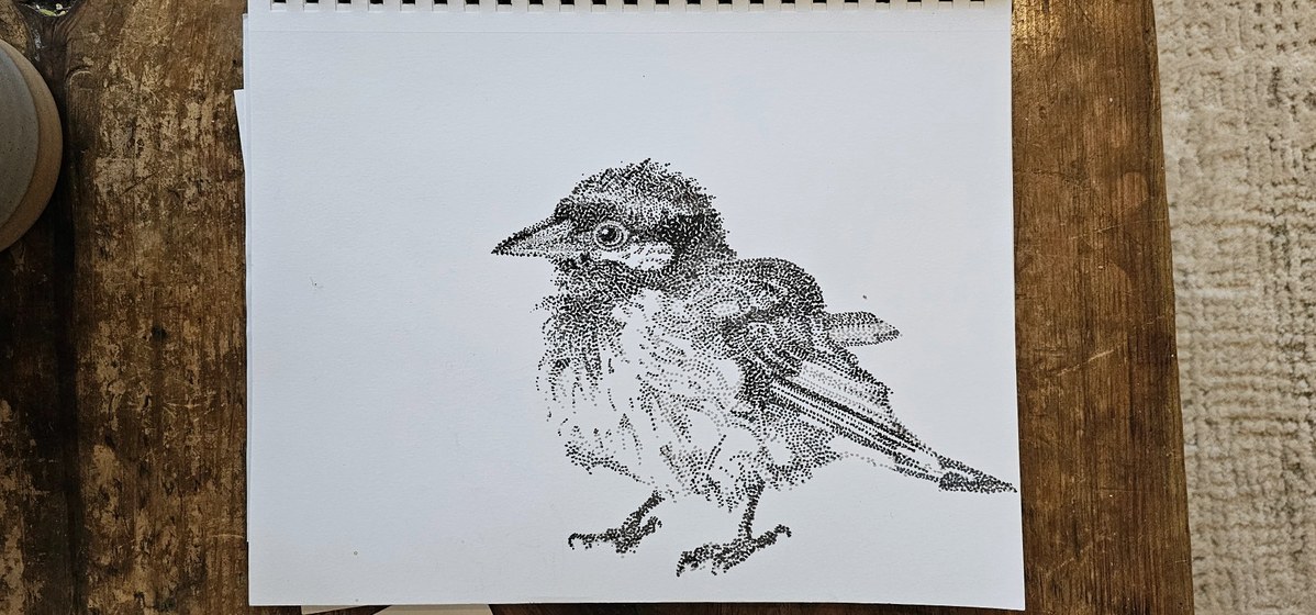 Stipple drawing of a bird