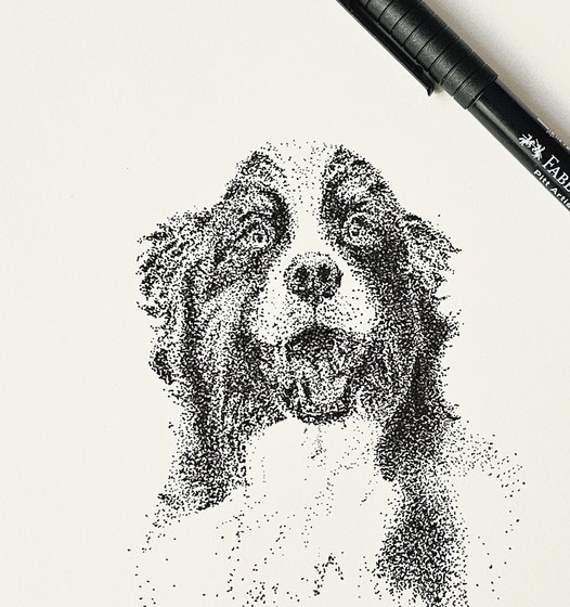Stipple portrait of a Bernese
